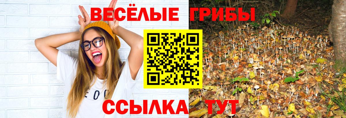 Псилоцибиновые грибы Magic Shrooms Волжск